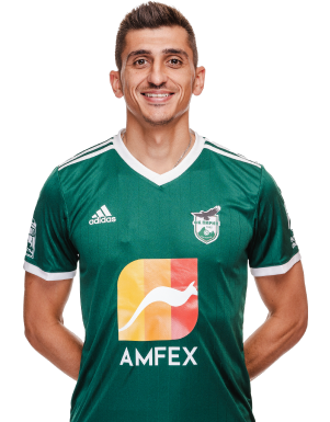 Александър Дюлгеров